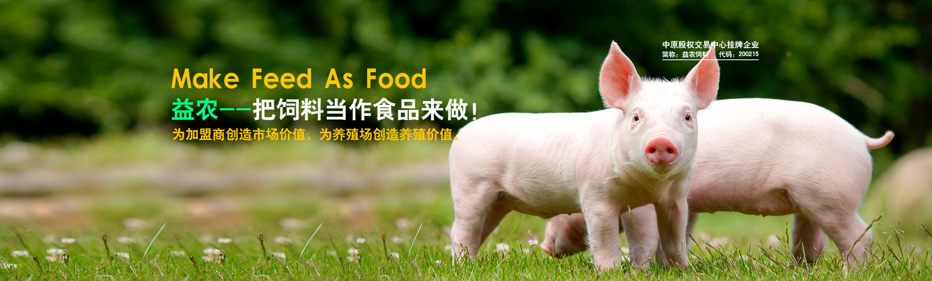 湯陰縣益農(nóng)飼料有限責任公司